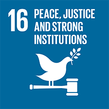 16. Peace, justice and strong institutions